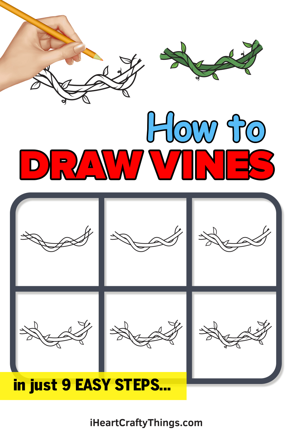 how to draw vines in 9 easy steps