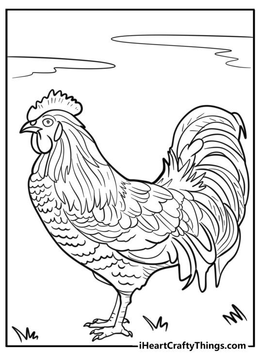 Animal-themed coloring sheet presenting very detailed drawing of a chicken standing on a grass