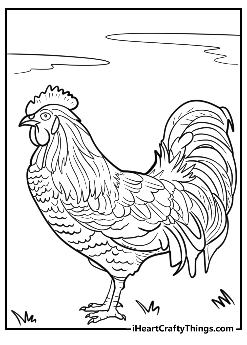 Chickens coloring pages