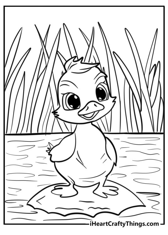 Animal coloring page featuring cute little duck perched on a stone in a middle of a pond