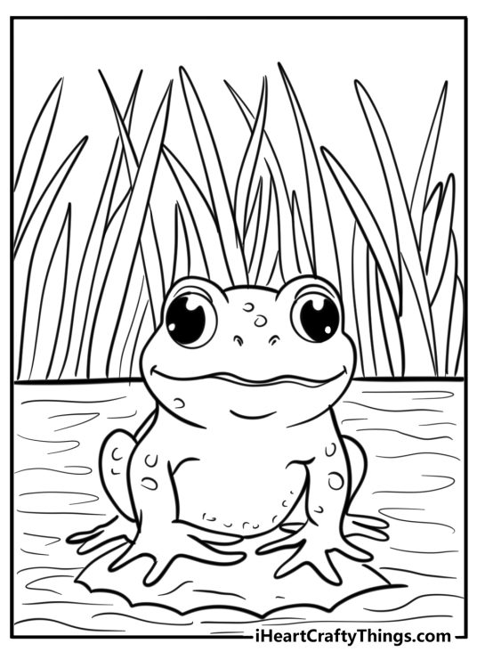 Animal-themed picture of a realistic frog sitting on a stone in a middle of a pond with tall grass in the background