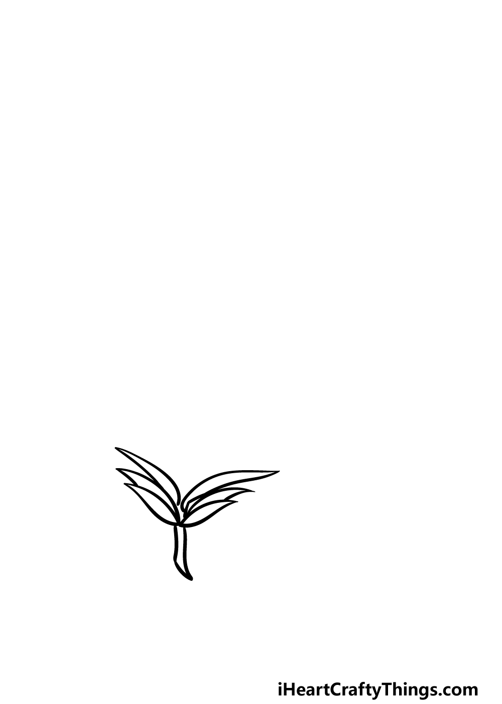 how to draw a Palm Leaf step 1