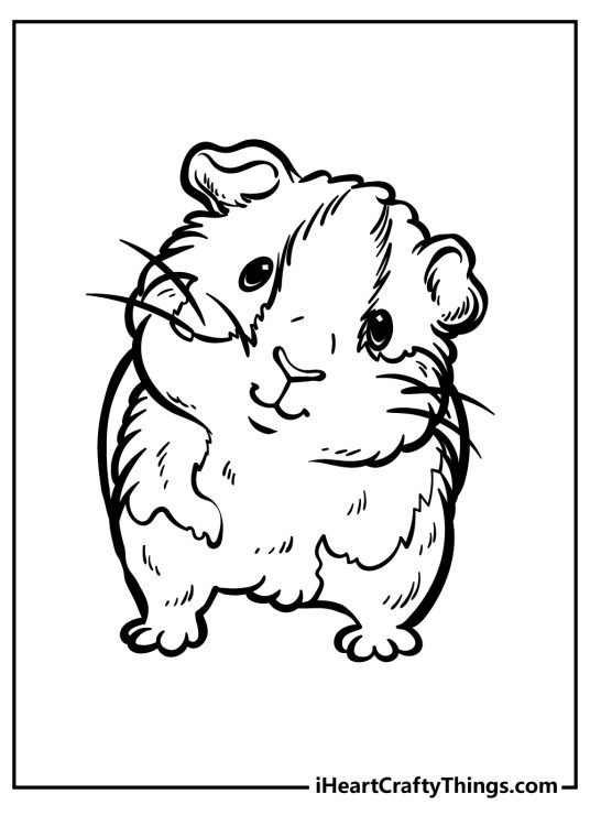 Guinea Pig Coloring Pages (100% Free Printables)