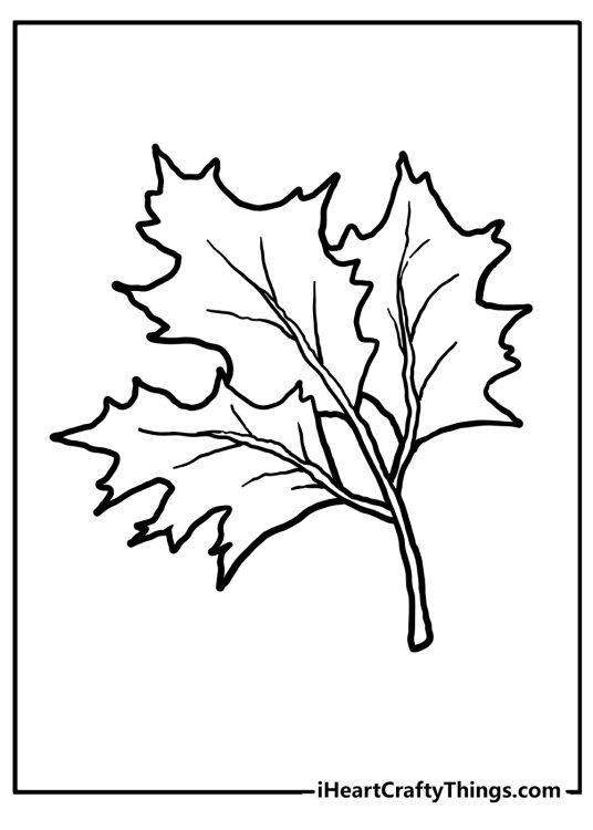Fall leaves printable sheet featuring detailed drawing of a natural-looking maple leaf