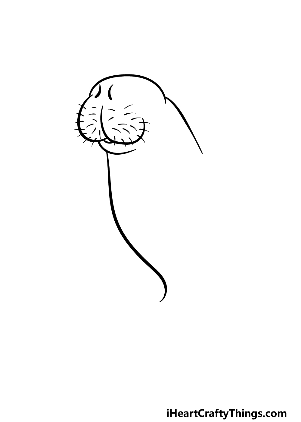 how to draw a Manatee step 2