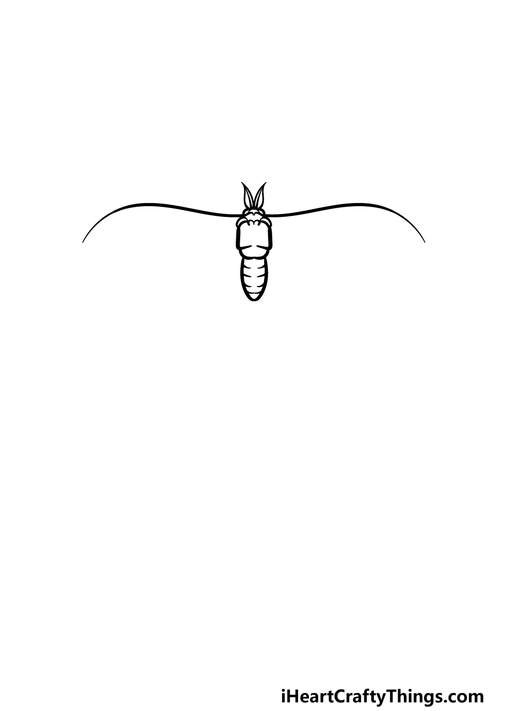 how to draw a Luna Moth step 2