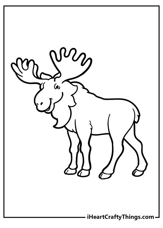 Coloring image for children of a mature moose with huge antlers and furry chest