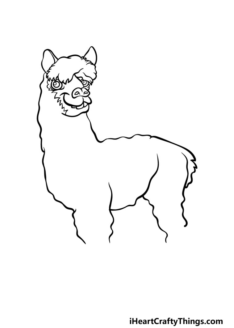 Alpaca Drawing - How To Draw An Alpaca Step By Step