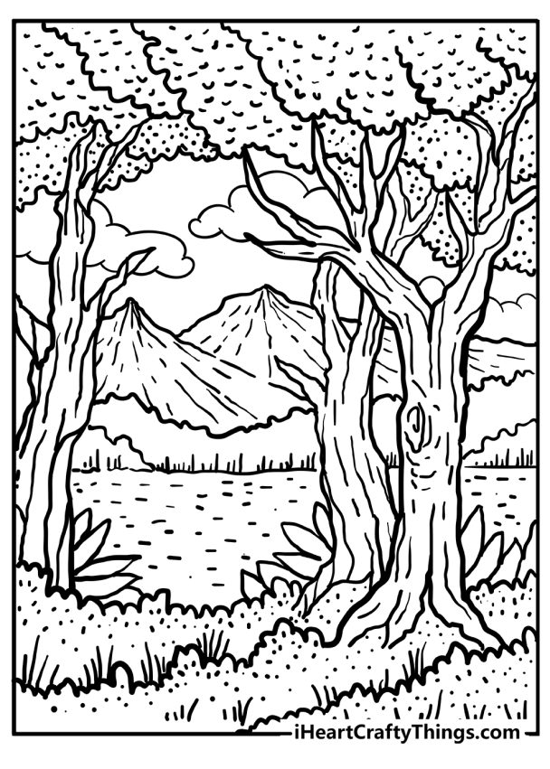 Forest Coloring Pages (100% Free Printables)