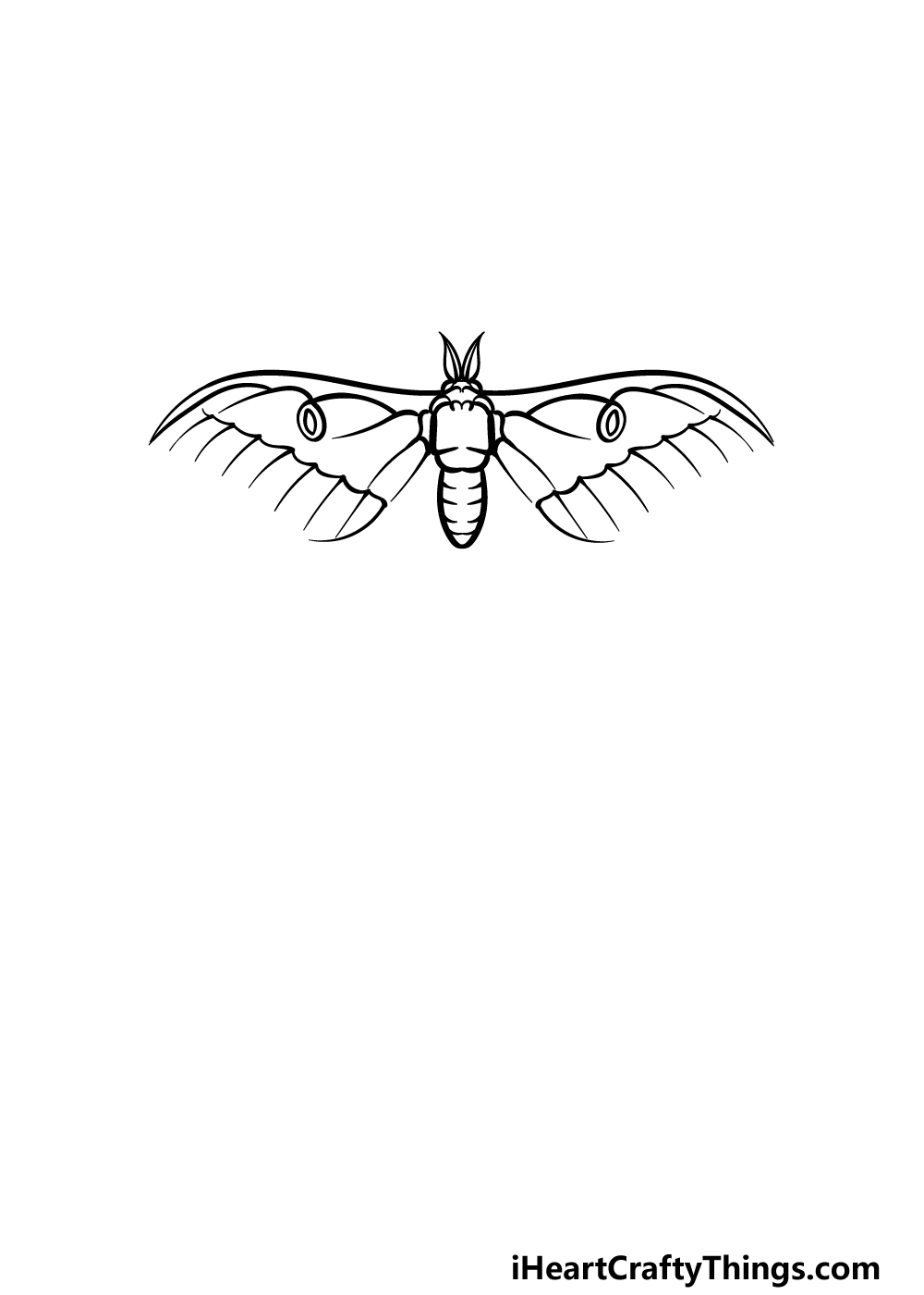 how to draw a Luna Moth step 3