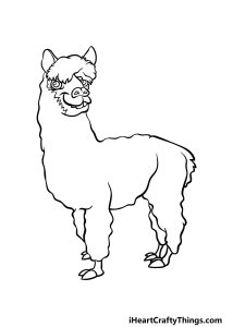 Alpaca Drawing - How To Draw An Alpaca Step By Step