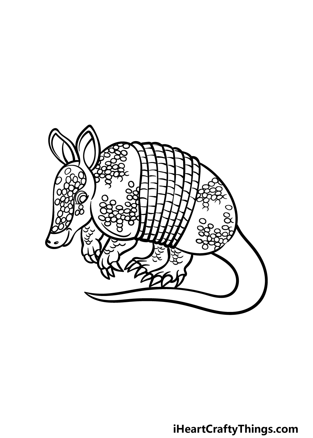 how to draw an Armadillo step 4