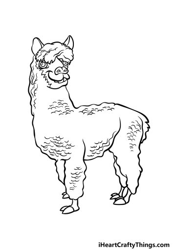 Alpaca Drawing - How To Draw An Alpaca Step By Step