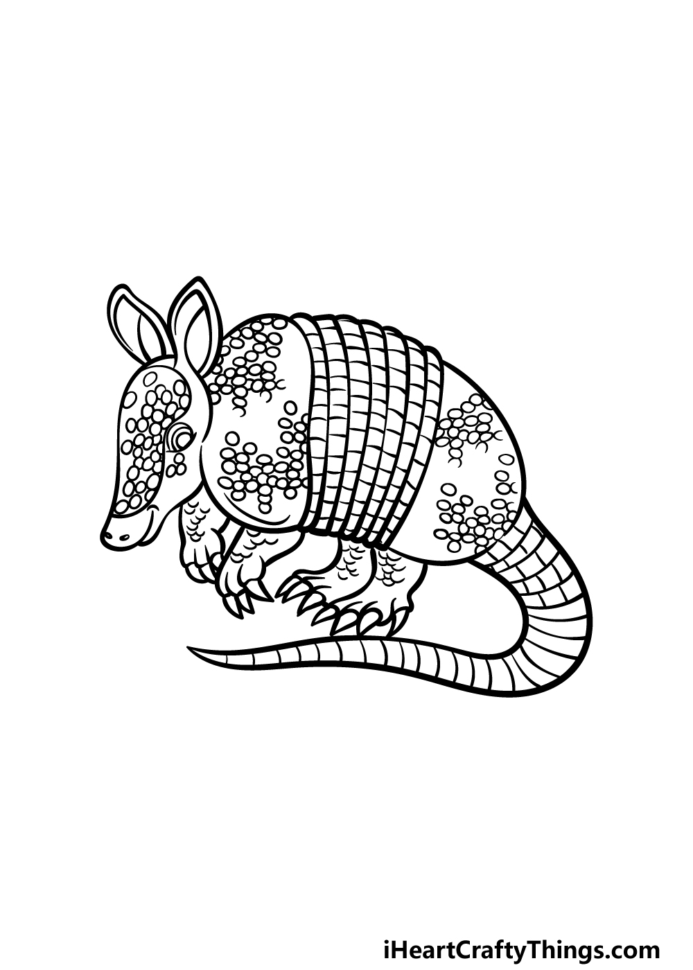 how to draw an Armadillo step 5
