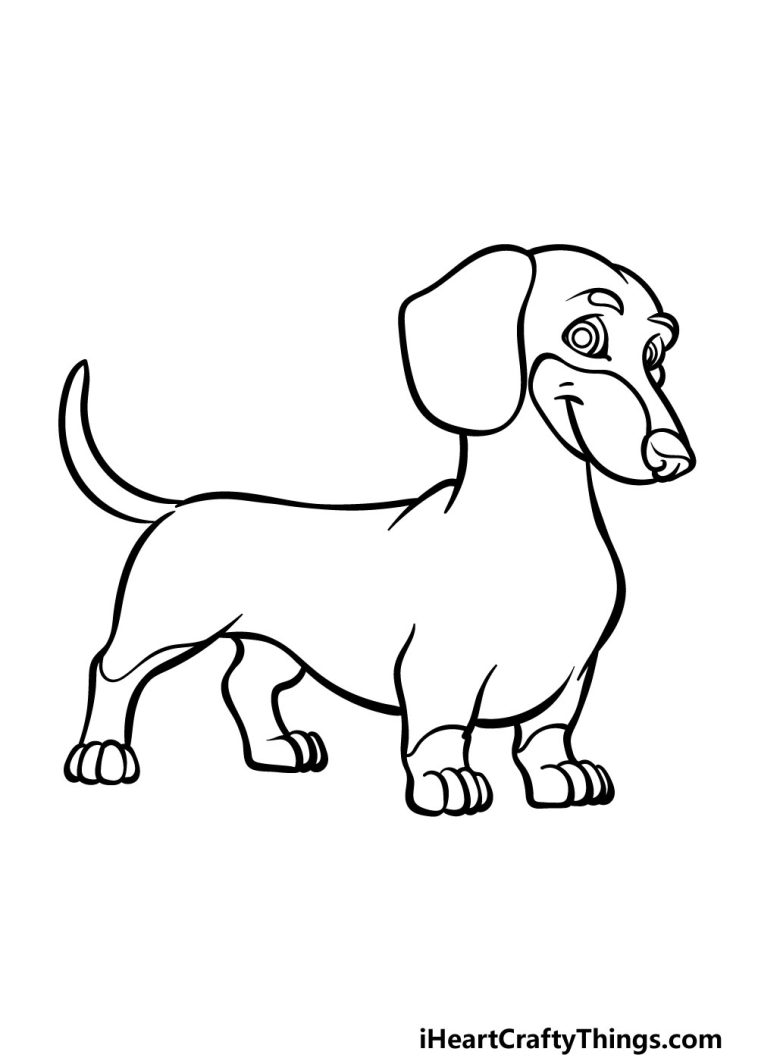 Dachshund Drawing - How To Draw A Dachshund Step By Step