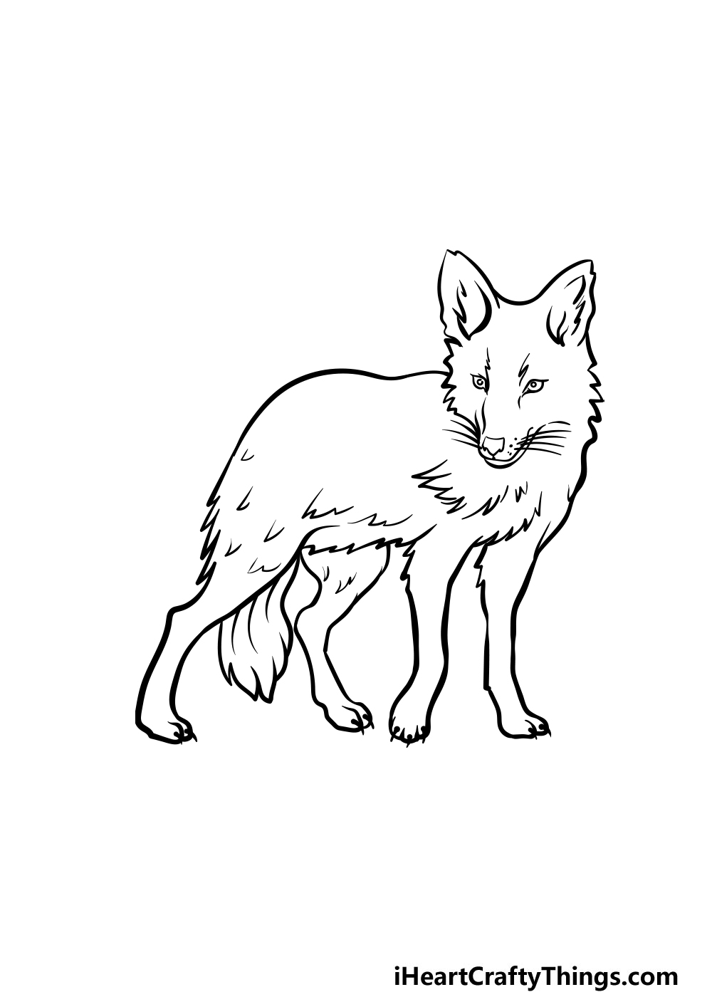 how to draw a Coyote step 5