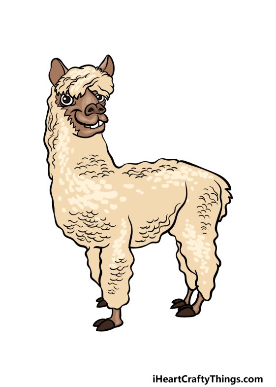 Alpaca Drawing - How To Draw An Alpaca Step By Step