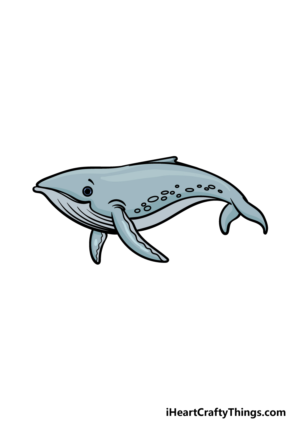 how to draw a Humpback Whale step 6