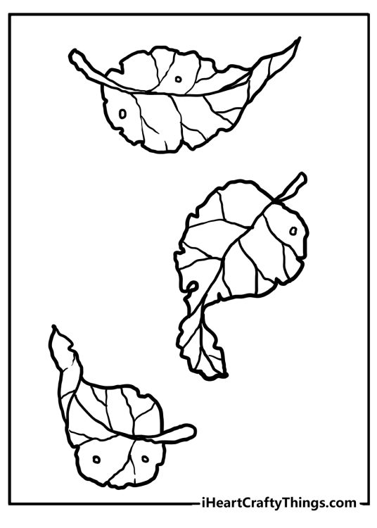 Fall leaves-themed printable picture featuring three old and torn falling autumn leaves