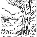 Forest Coloring Pages free printable