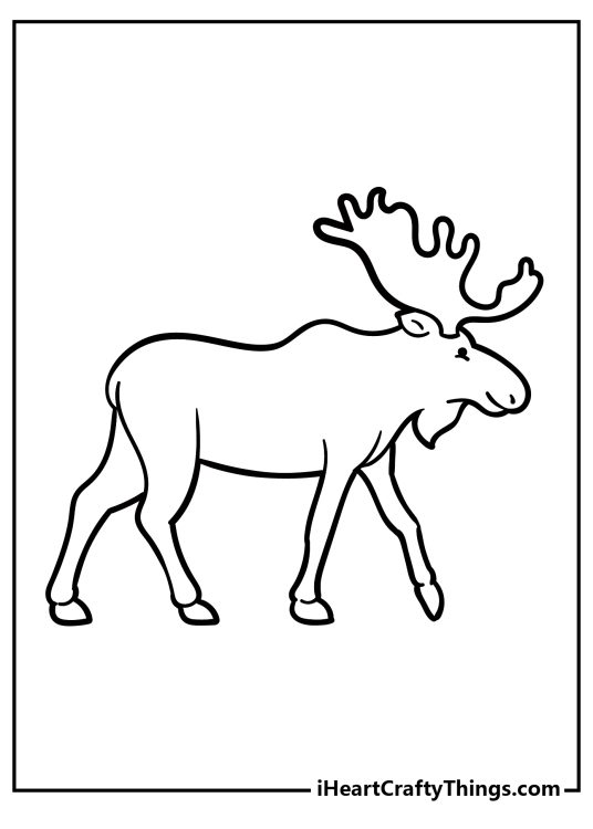Coloring book page for children depicting moose which is on the move somewhere with clear background behind him