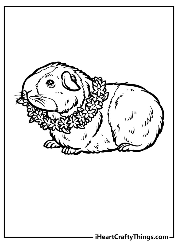 15 Guinea Pig Coloring Pages (100 Free Printables)