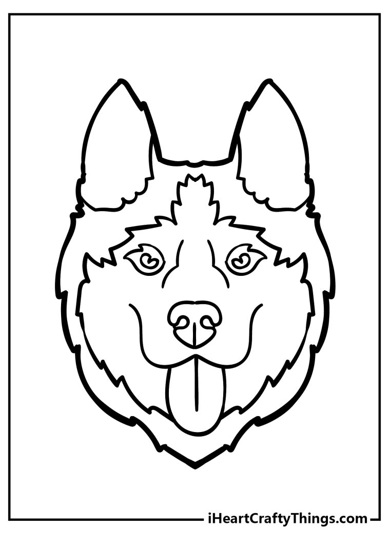 Printable Husky Coloring Pages (Updated 2023)