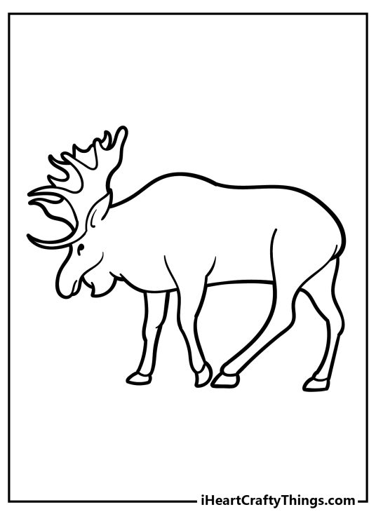 Black-and-white printable picture capturing mature moose looking down as he walks