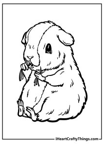 Guinea Pig Coloring Pages (100% Free Printables)