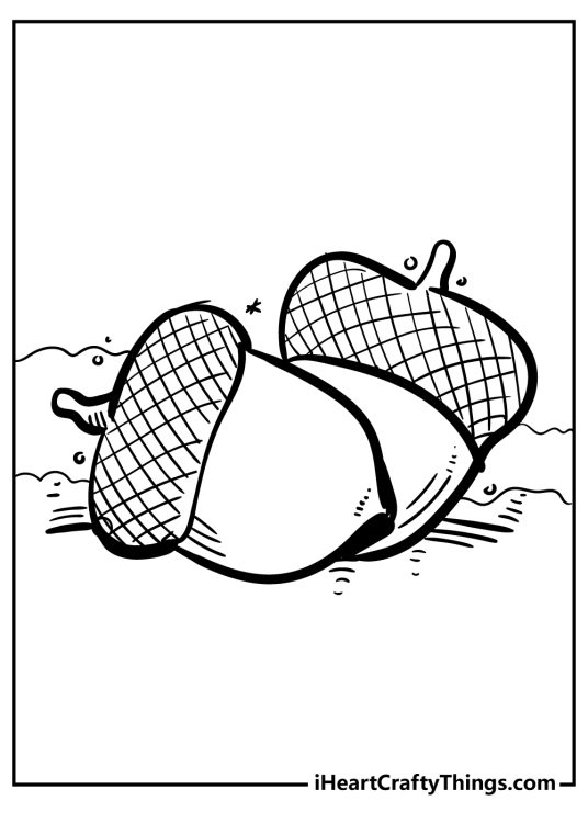 Free printable coloring sheet for children featuring two large acorns with intricate caps