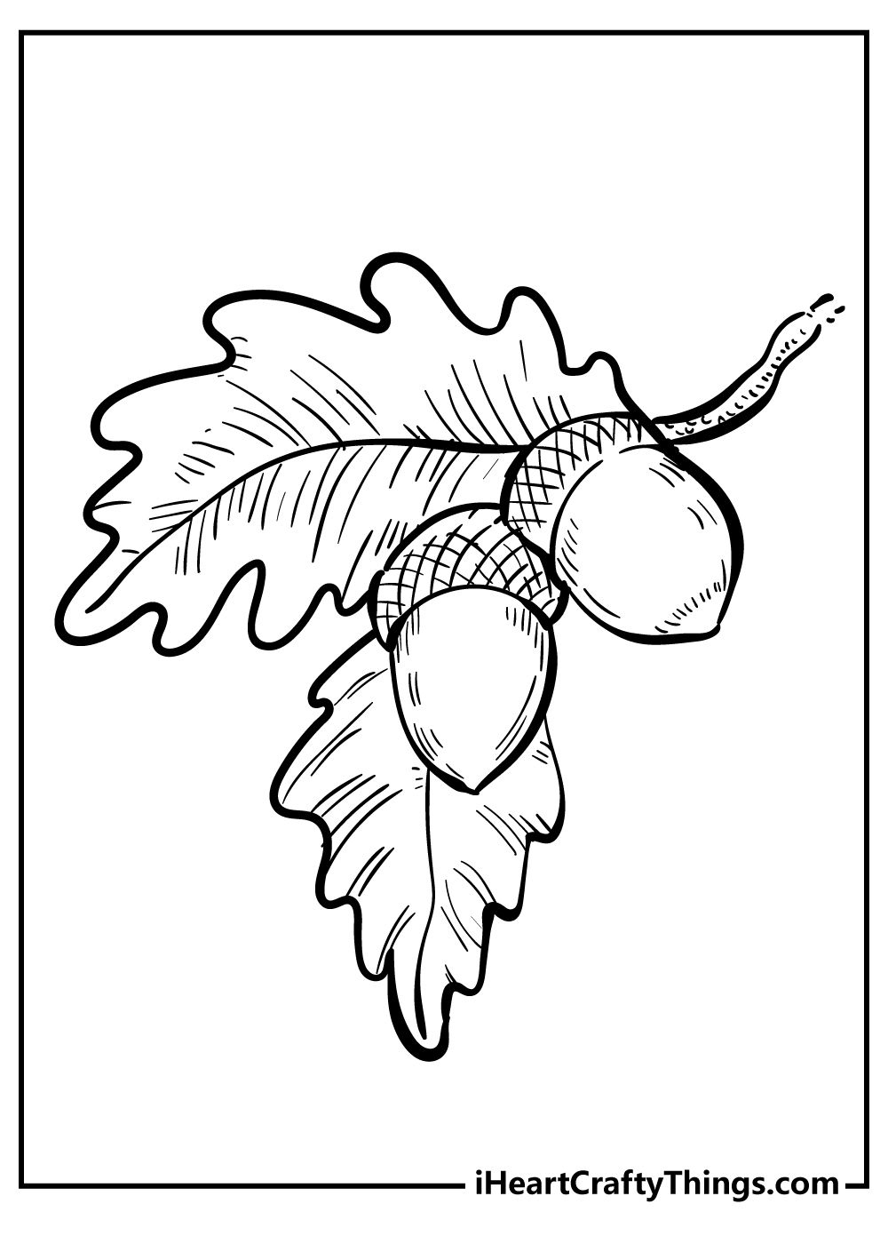 Acorn Coloring Pages for adults free printable