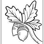 Acorn Coloring Pages free printable