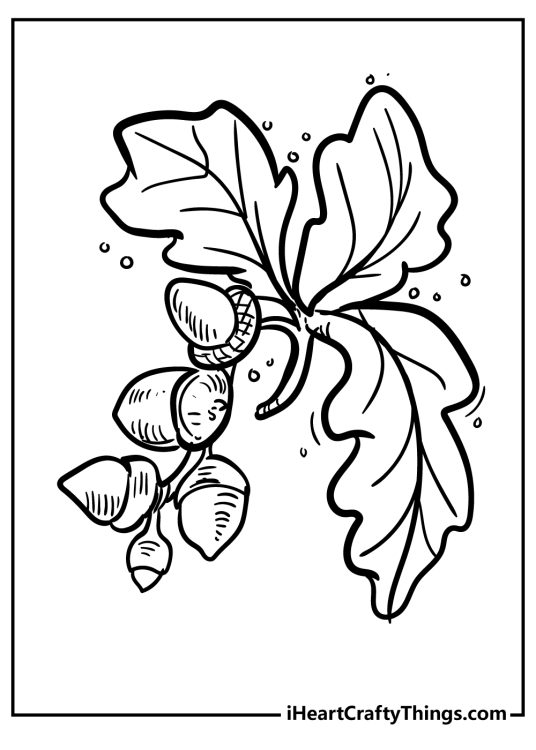 Acorn-inspired coloring card featuring oak tree branch with five acorns and three leaves