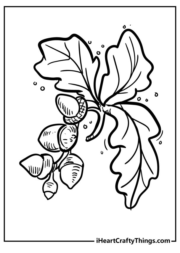 Acorn Coloring Pages (15 Free PDF Printables To Download)