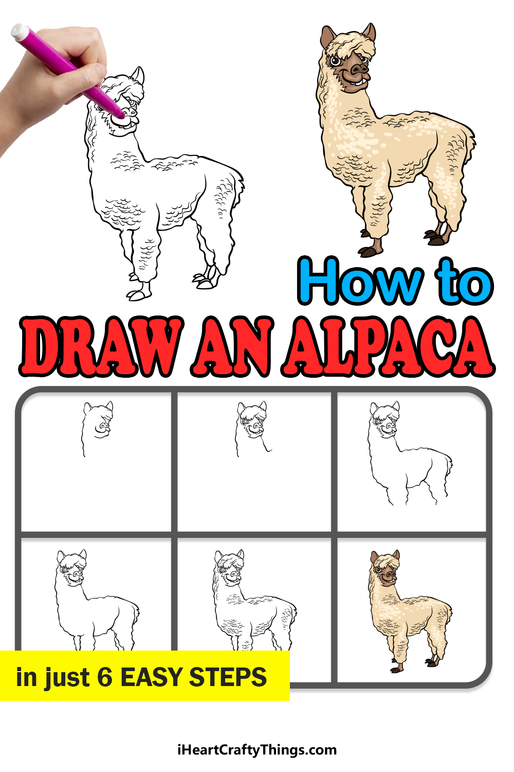how to draw An Alpaca in 6 easy steps