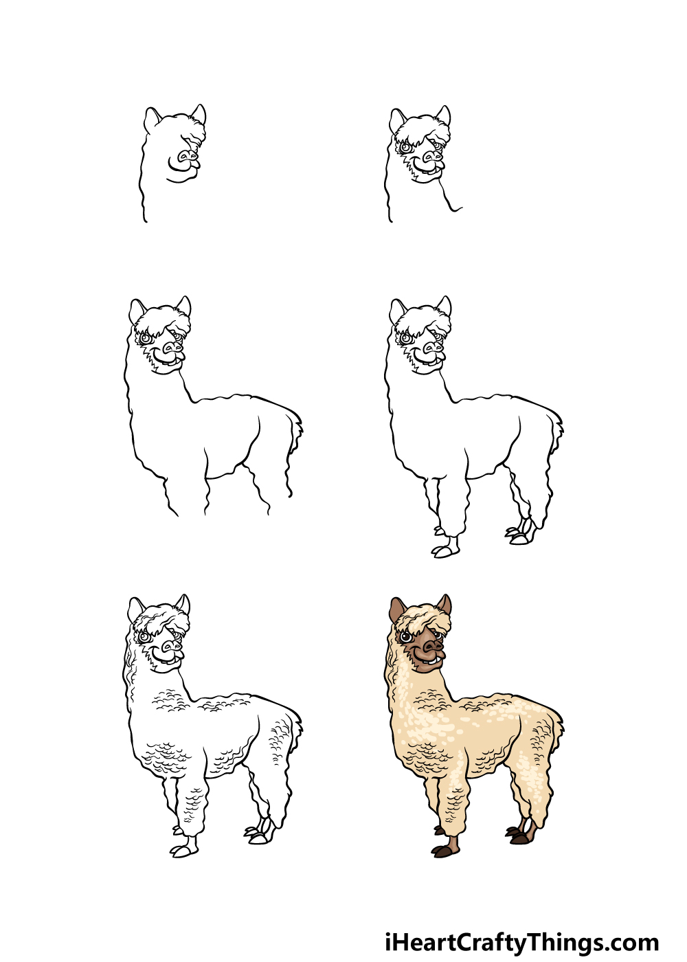 how to draw An Alpaca in 6 steps