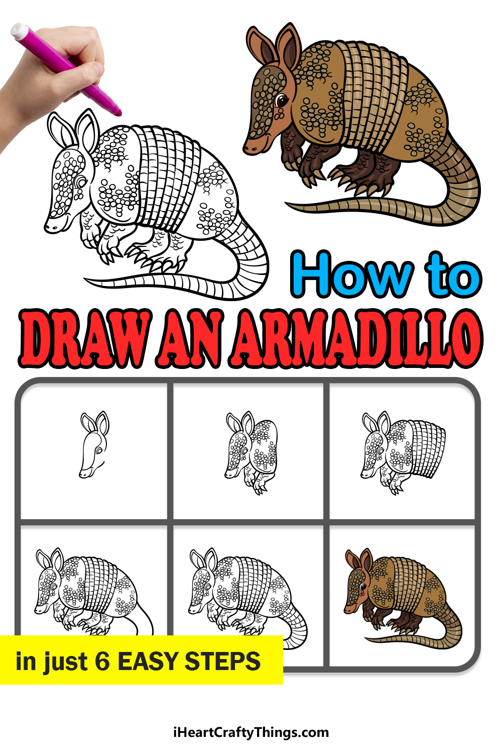 how to draw an Armadillo in 6 easy steps