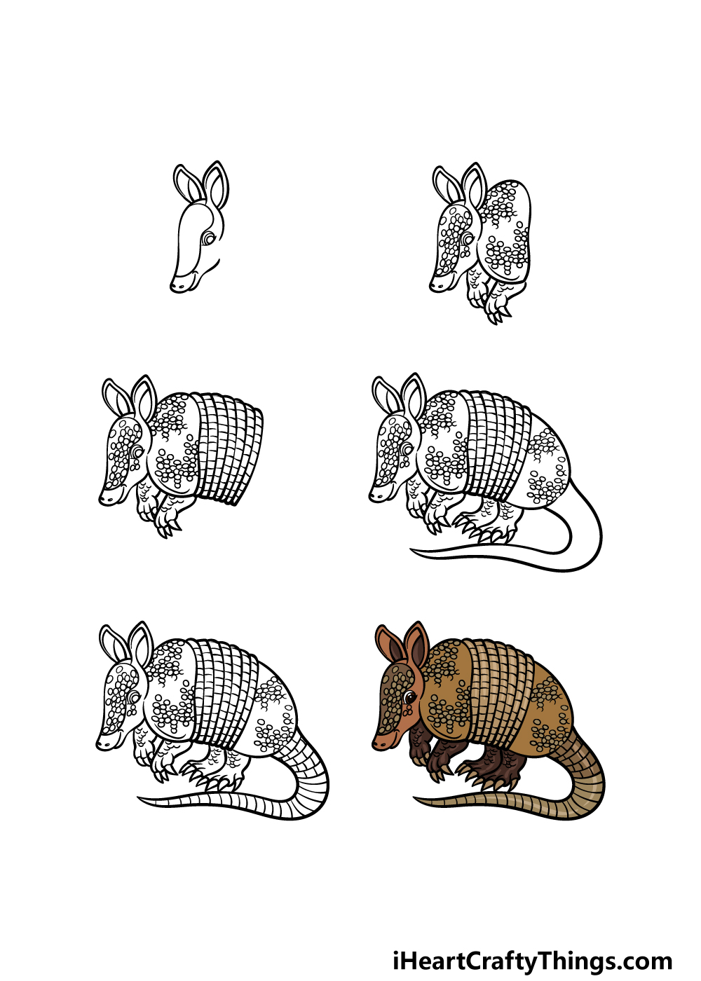 how to draw an Armadillo in 6 steps