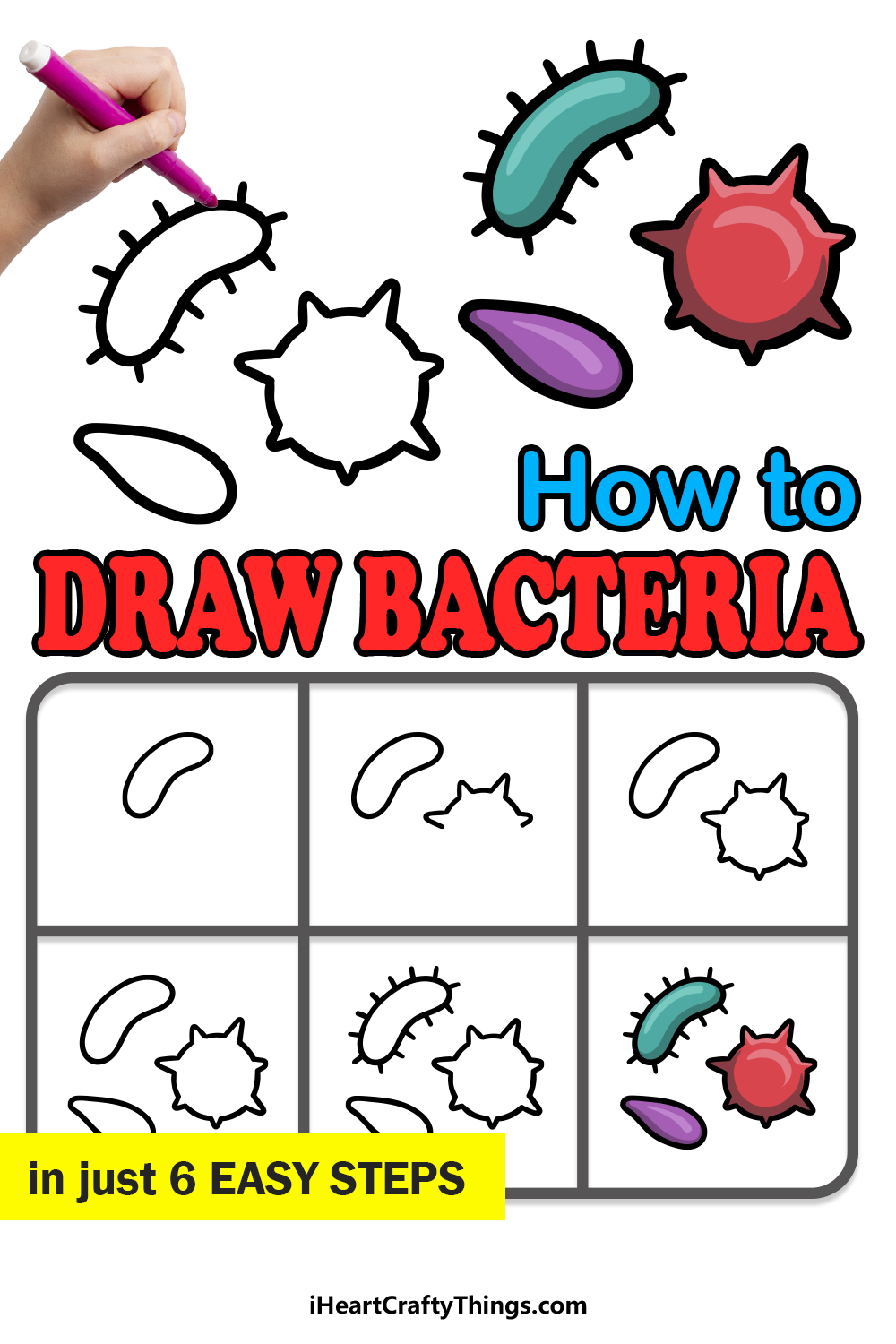 How to Draw Bacteria in 6 easy steps