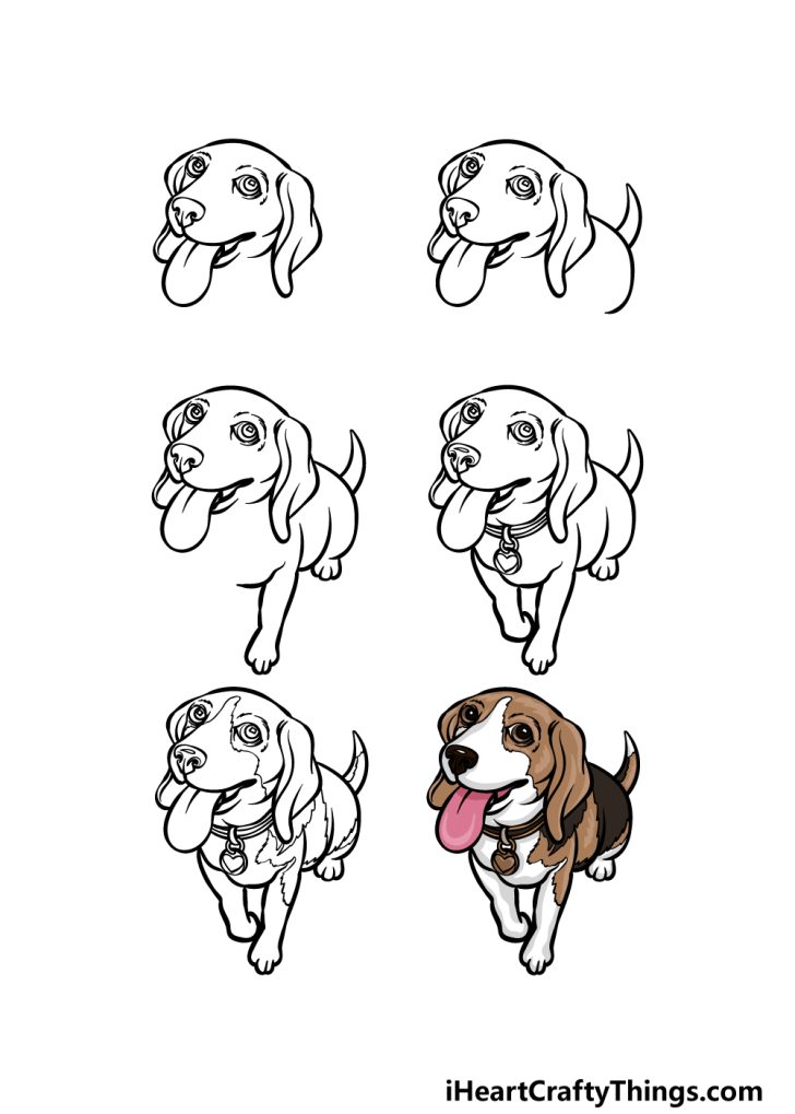 Beagle Drawing How To Draw A Beagle Step By Step