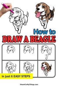 Beagle Drawing - How To Draw A Beagle Step By Step