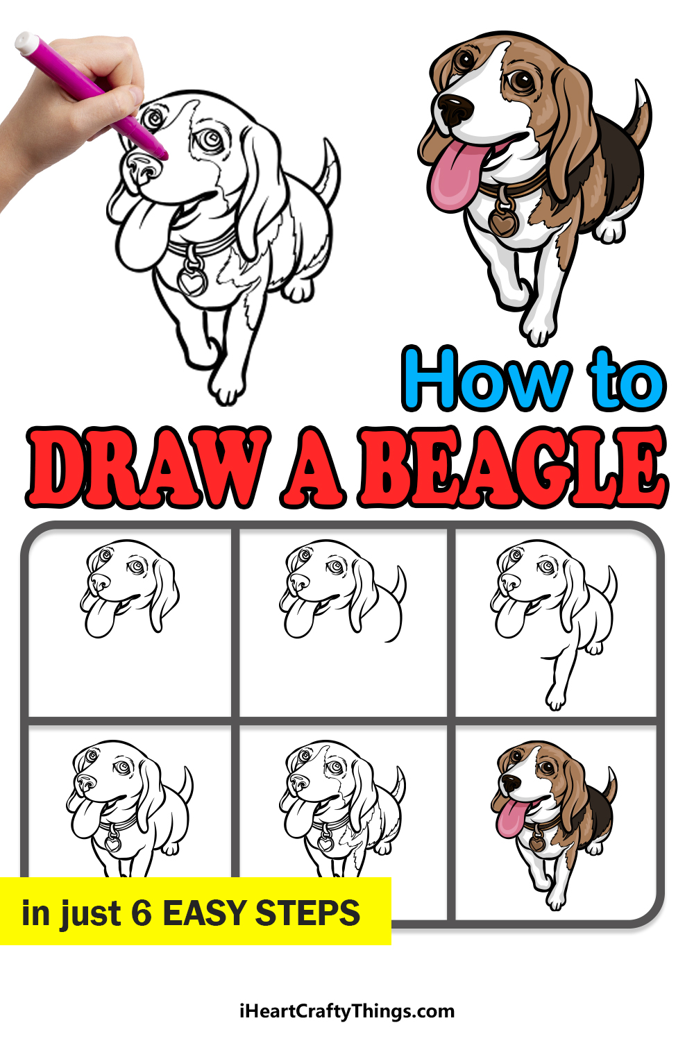 how to draw a Beagle in 6 easy steps