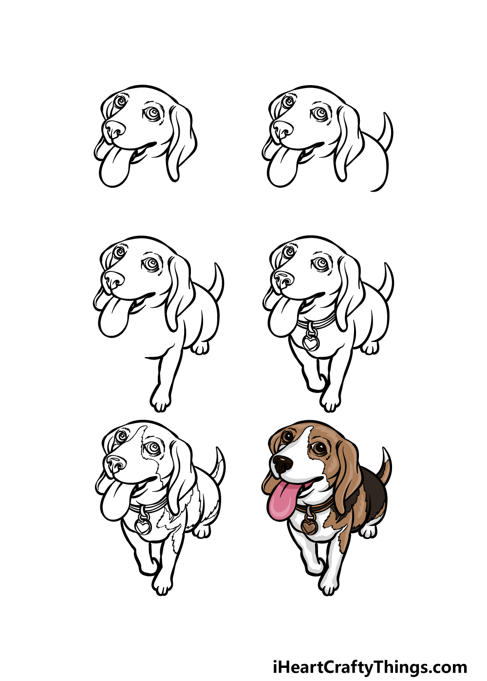 how to draw a Beagle in 6 steps