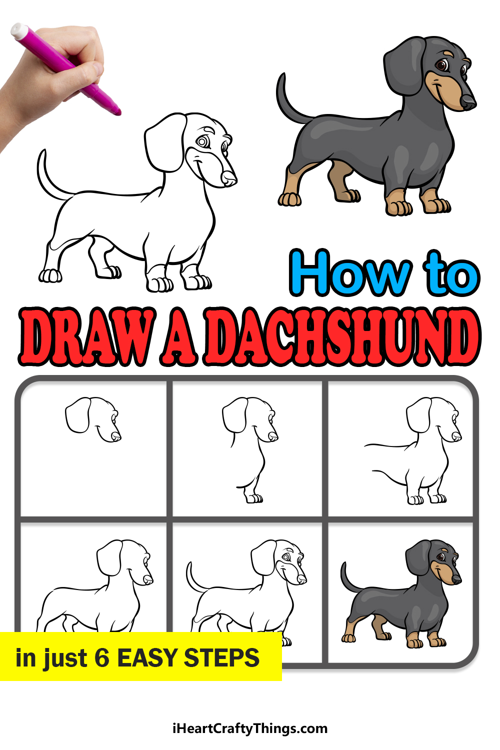 how to draw a Dachshund in 6 easy steps