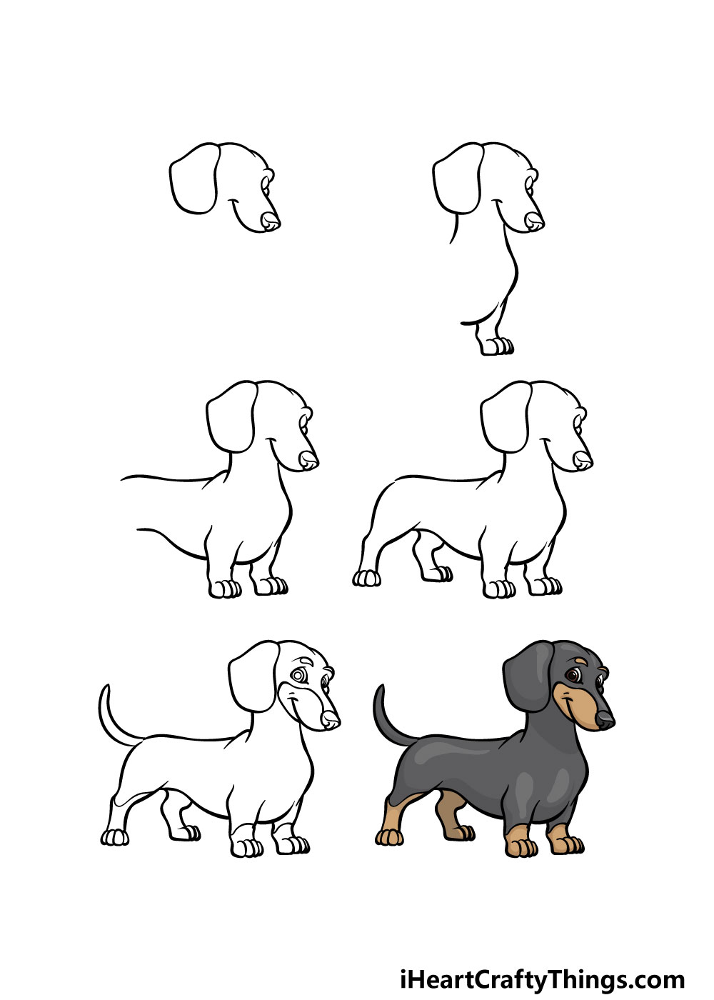 how to draw a Dachshund in 6 steps