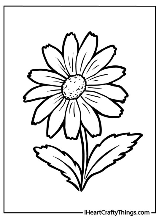 Coloring sheet featuring simple and elegant daisy flower with slightly curved petals and thin stem