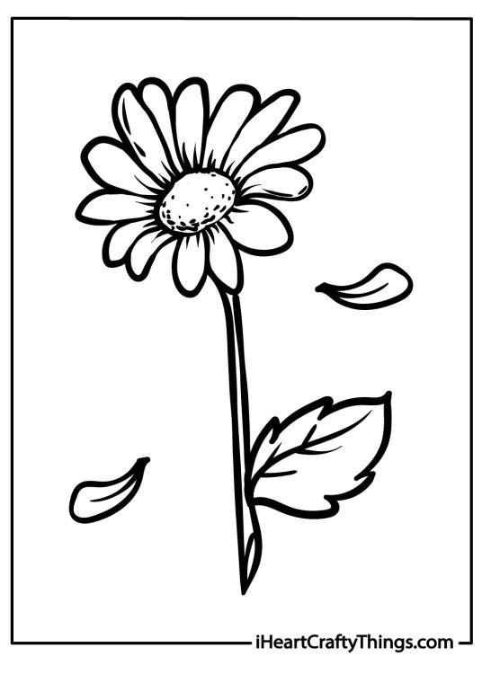 Coloring printable for children showing a lovely daisy flower with two petals falling off it