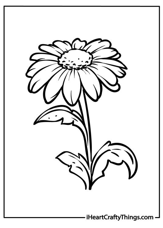 Coloring sheet presenting a charming daisy flower with a round center and long stem with three leaves