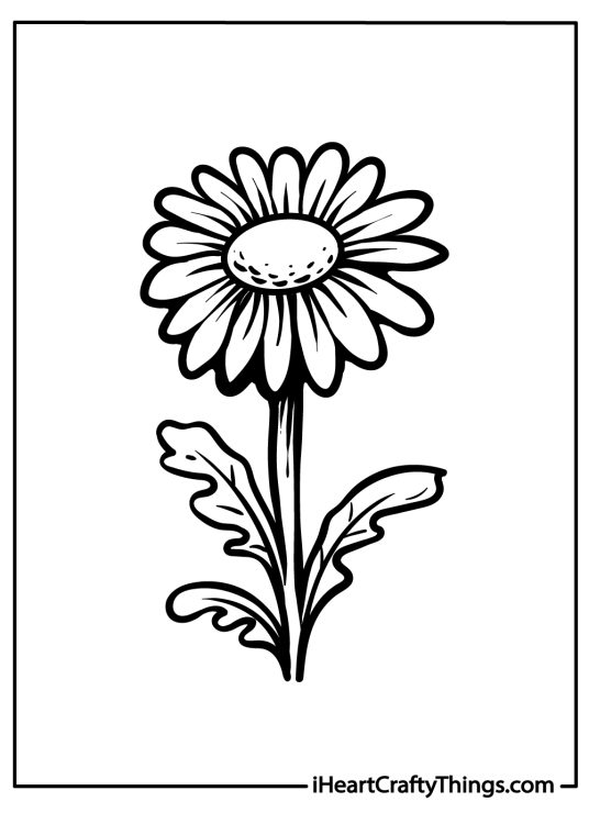 Coloring sheet featuring cute daisy flower with a round center and long thin petals