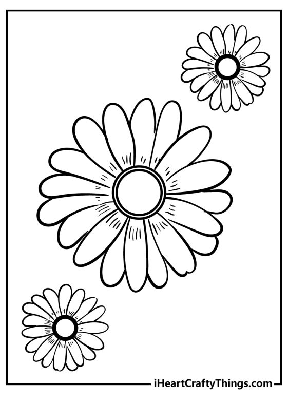 Daisy Coloring Pages (100% Free Printables)